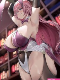 Busty Bunny Anime E Girl T25609 A3 Poster on Photo Paper