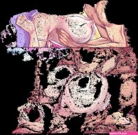 Xxx Sex Comics Gif