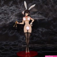 Buy 14 Japanese Anime Sex Nude Infinite Stratos Style B Huang Lingyin Bunny Ver. Nude Anime Figure Dolls gk Action Figure Online at desertcartINDIA