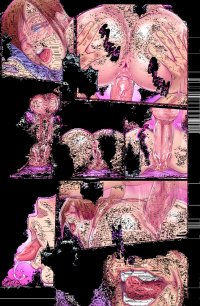 Uncensored Manga Sex Comics