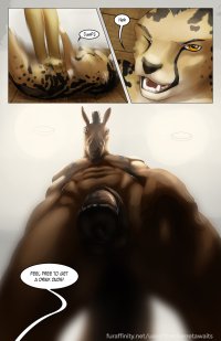 Rule 34