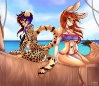 Galera furry personal