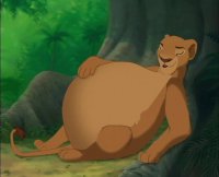 Nala Vore Animation