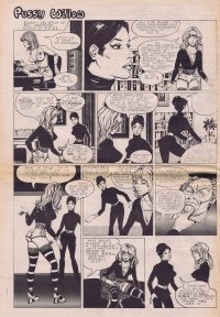 Pikitia Press Blog: Pussy Willow