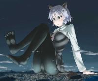 Wallpaper : upskirt ass pantsu shot school uniform open mouth short hair thigh highs cameltoe tail animal ears cityscape sky panty hose Sanya v Litvyak Strike Witches anime 2300x1900