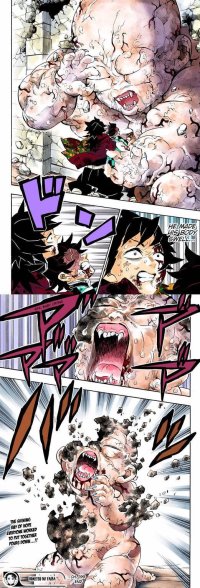 What do you think about the final fight between Tanjiro and Muzan?