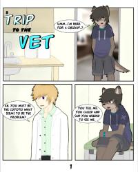A Trip To the Vet Gay Furry Comic Not Mine