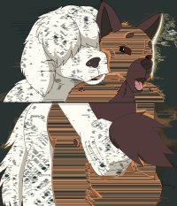 Rule 34