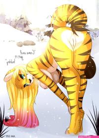 Rule 34