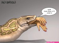 Samson the snake