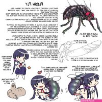 Rule 34