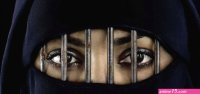Tehmina and Domestic Discipline