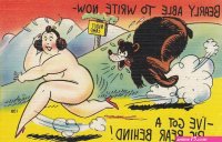 Sexist Man Comic postcard Sexy Lady cartoon Big Naked Lady w Bear