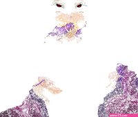 Hentai Nipple Penetration Gif