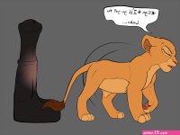 Fandom Expectations