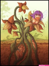 g4 :: Fairy trap by Karbo