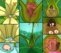 g4 :: Flower Part 6 by donutwish