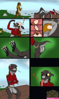 Rule 34