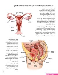 Donutwish Anatomy Physiology of Unbirthing porn comic