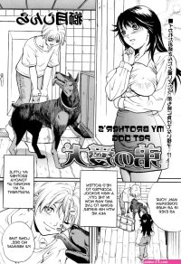 Forced Cervix Penetration Hentai X Ray