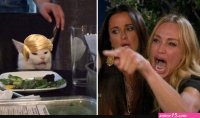 Lady yelling at trump cat Memes