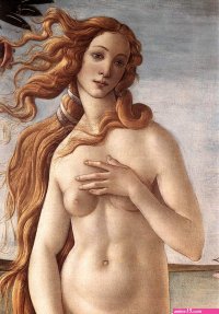 The Birth of Venus Botticelli