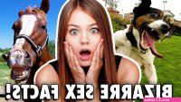 54 Outrageous Facts About The Sex Lives Of Animals