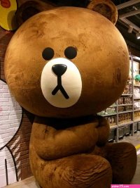 Discover the Amazing LINE Friends Stores