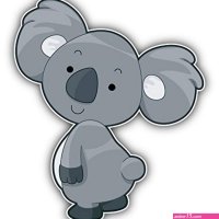 Mr Koala