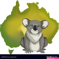 Koala bear and australian map Royalty Free Vector Image