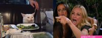 Woman Yelling at a Cat Template 3B Woman Yelling at a Cat Know Your Meme