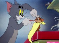 Tom Jerry Pictures: The Truce Hurts