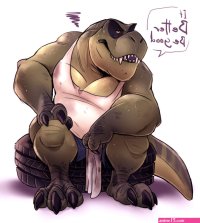 The Big ImageBoard TBIB