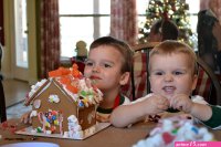 Ordinary Miracles: 2011