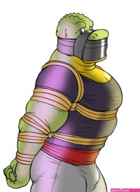 The Big ImageBoard TBIB