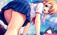 Anime Japanese schoolgirls skirts school uniforms teen sailor