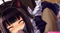 Cute kitten blowjob