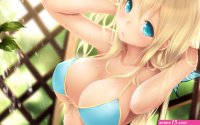 Wallpaper : blonde long hair anime girls blue eyes plants big boobs water drops butterfly black hair cleavage bangs mouth bikini belly hair ornament Boku wa Tomodachi ga Sukunai Kashiwazaki Sena swimwear