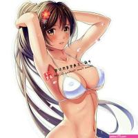 Anime Girls Big Boobs Breasts Bikini Skimpy Ecchi Sticker 1 PACK Vinyl decal