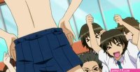 Shota Briefs