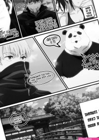 Zenins Secret Exploded 1