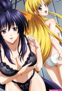 post animes X: Anime: High School DxD