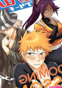 Bleach