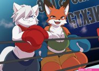 Animal Boxing Collaboration 3