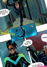 Nightwing and Catwoman Porn Comics by Drawn-Sex BatmanDC Universe Rule 34 Comics