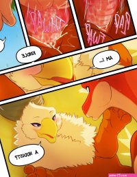 Frisky Ferals