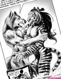 Fur Fury 1