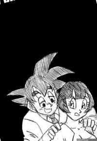 Drunk Goku And Videl