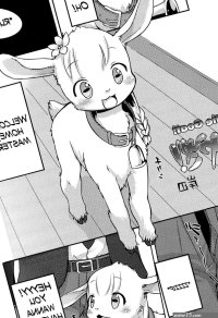 Koyagi!