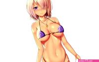Wallpaper : Fate Grand Order boobs bra panties simple background anime girls micro bikini 3200x2000